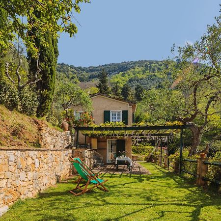 Holiday Home Il Glicine By Interhome Montemagno  外观 照片